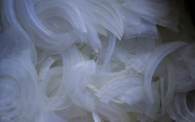 Sliced onions 790 xxx